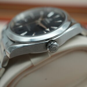 Seamaster 22010382003001 Aqua Terra 150M view 4