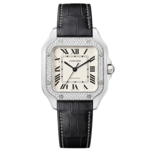 Cartier Santos W4SA0005 Factory Diamond Bezel