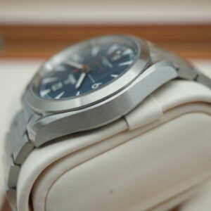 Omega 22010402003001 Seamaster Railmaster view 6